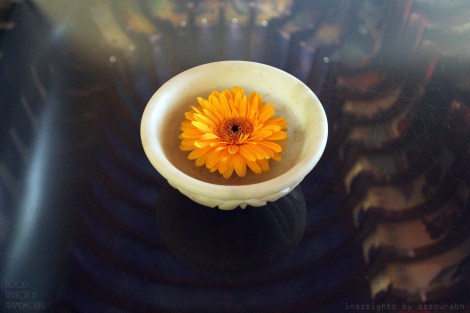 wills india fashion week @sssourabh