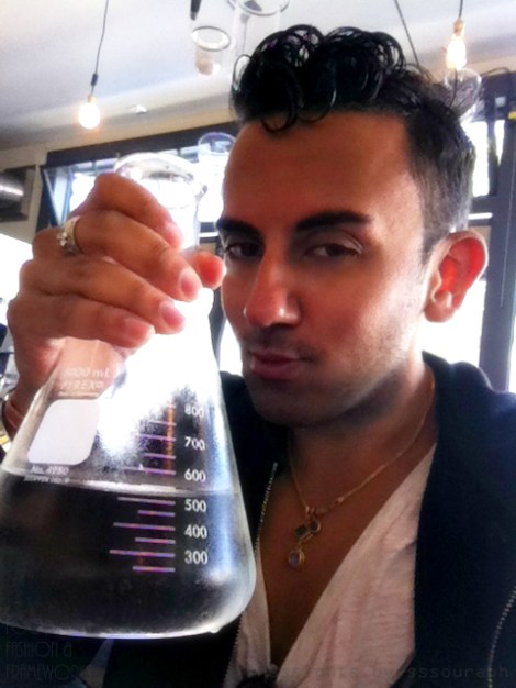 chocolate lab @sssourabh