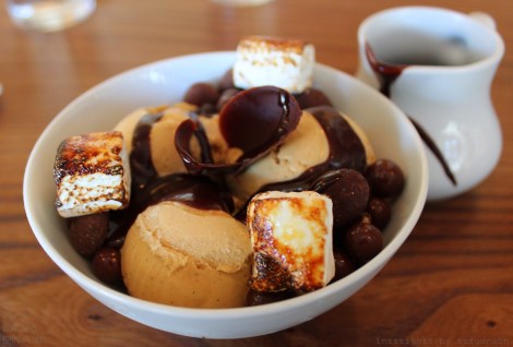 chocolate lab @sssourabh