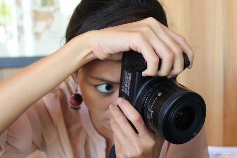 chocolate lab @sssourabh