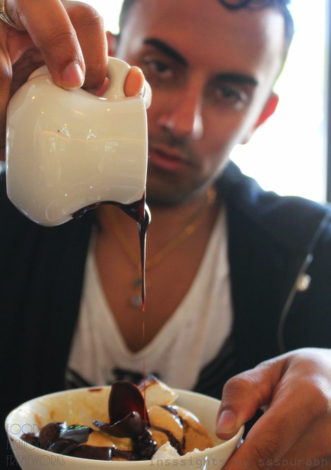 chocolate lab @sssourabh