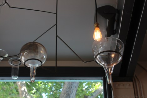 chocolate lab @sssourabh