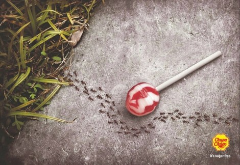 food trends 2014 @sssourabh