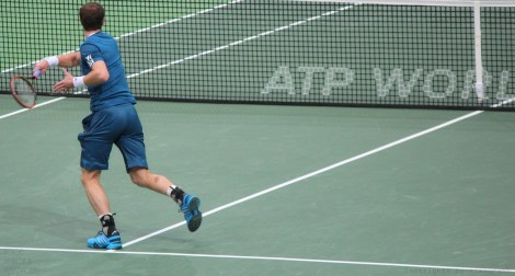 murray thiem tennis rotterdam @sssourabh