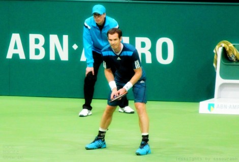 murray thiem tennis rotterdam @sssourabh