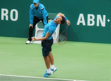 murray thiem tennis rotterdam @sssourabh