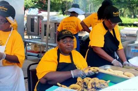 taste of chicago 2014 @sssourabh