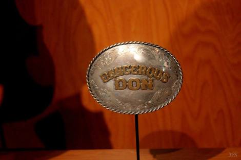 omni nashville country music hall of fame travel @sssourabh