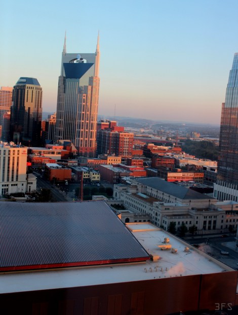 omni nashville country music hall of fame travel @sssourabh