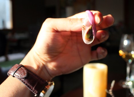 elements princeton new jersey scott anderson james beard tasting menu @sssourabh