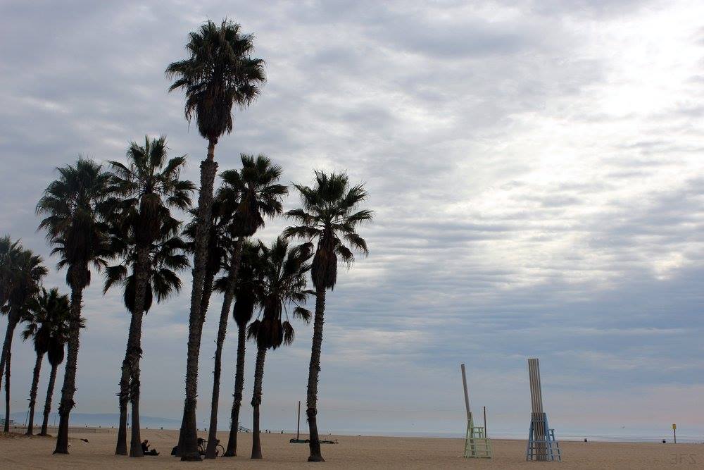 Of Dates and Figs in the Salty Seas of Santa Monica 3FS Lifestyle