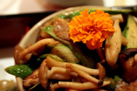 katsuya sbe la live los angeles @sssourabh