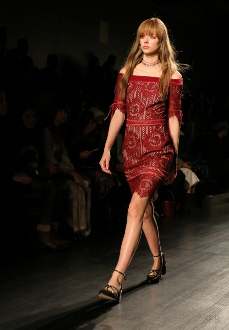 tadashi shoji runway new york fashion week nyfw fw17 eveningwear @sssourabh