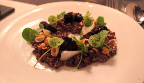 sons and daughters san francisco michelin star travel food review restaurant @sssourabh